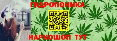 2c-b Лесосибирск