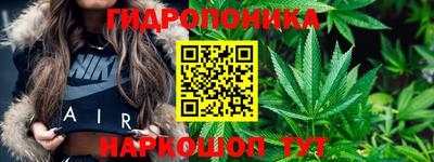 2c-b Лесосибирск