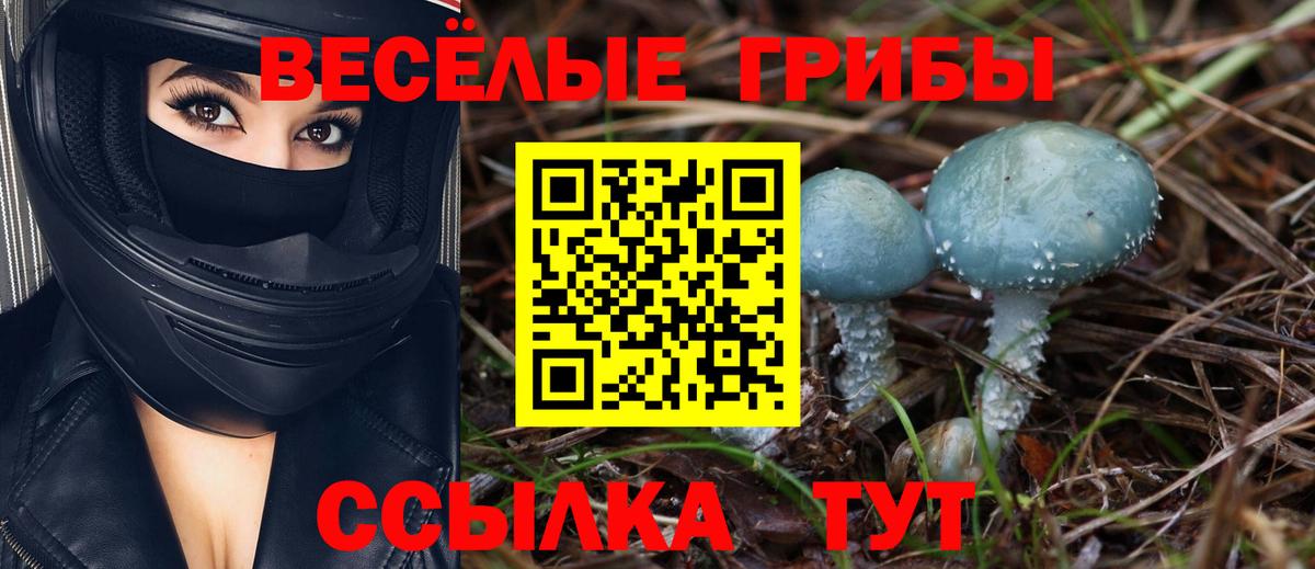 Галлюциногенные грибы прущие грибы  Вход с VPN  Иваново 